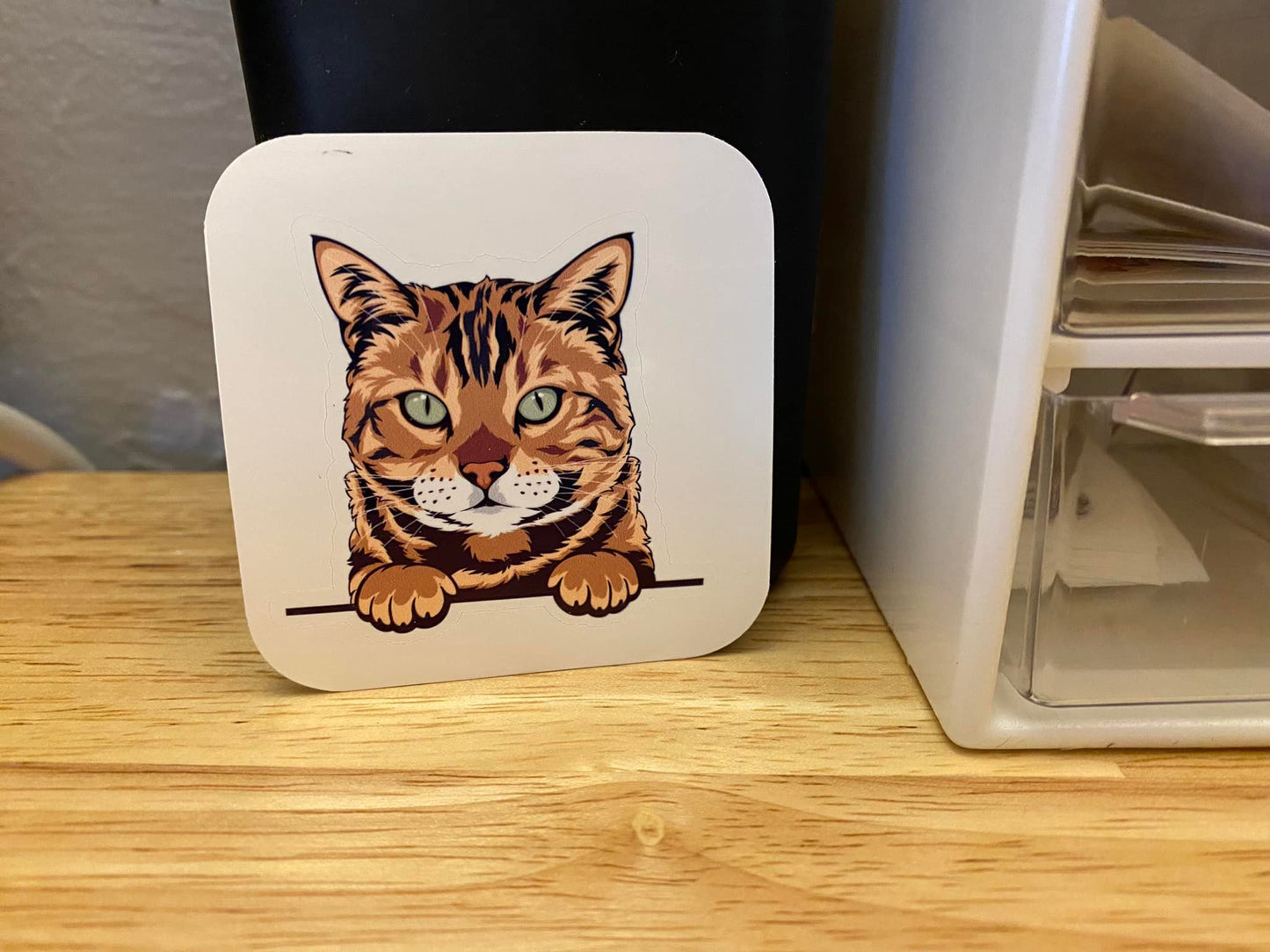 Bengal Cat STICKER
