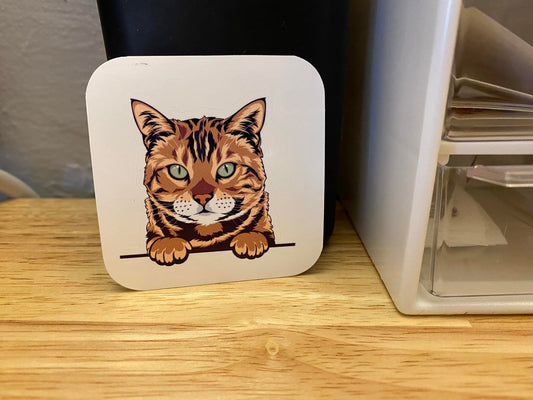 Bengal Cat STICKER