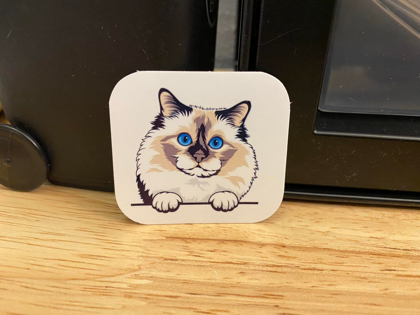 Birman Cat with Blue Eyes STICKER
