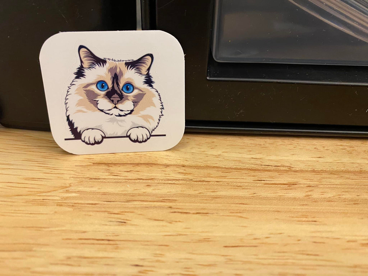 Birman Cat with Blue Eyes STICKER