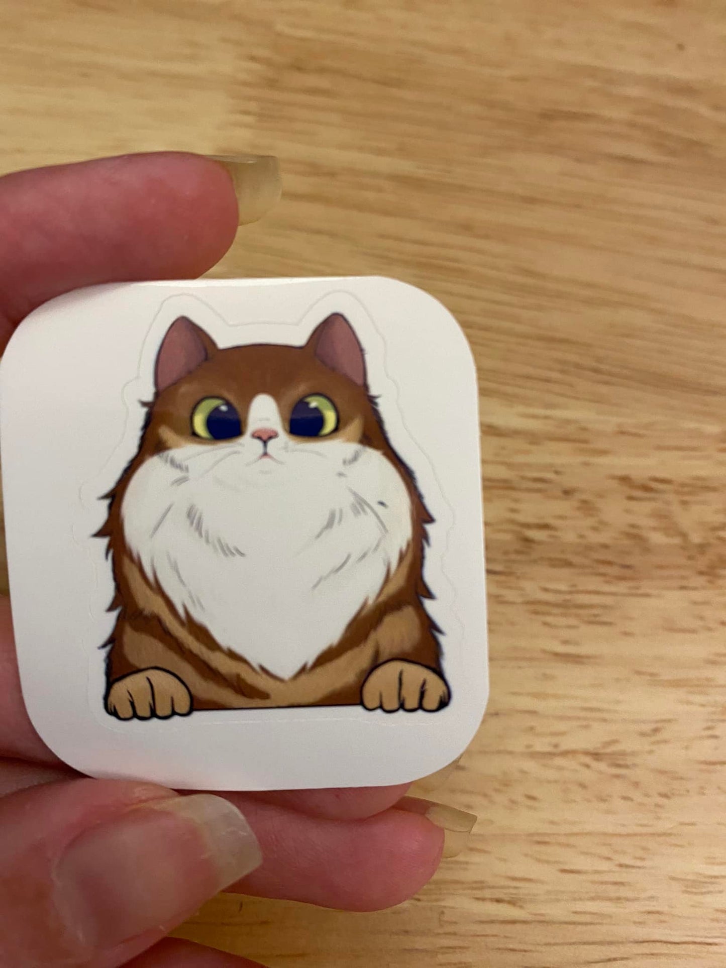 Brown Fluffy Tuxedo Cat STICKER