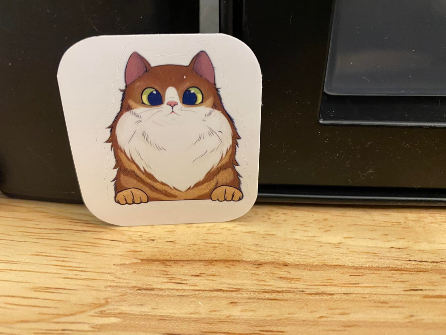Brown Fluffy Tuxedo Cat STICKER