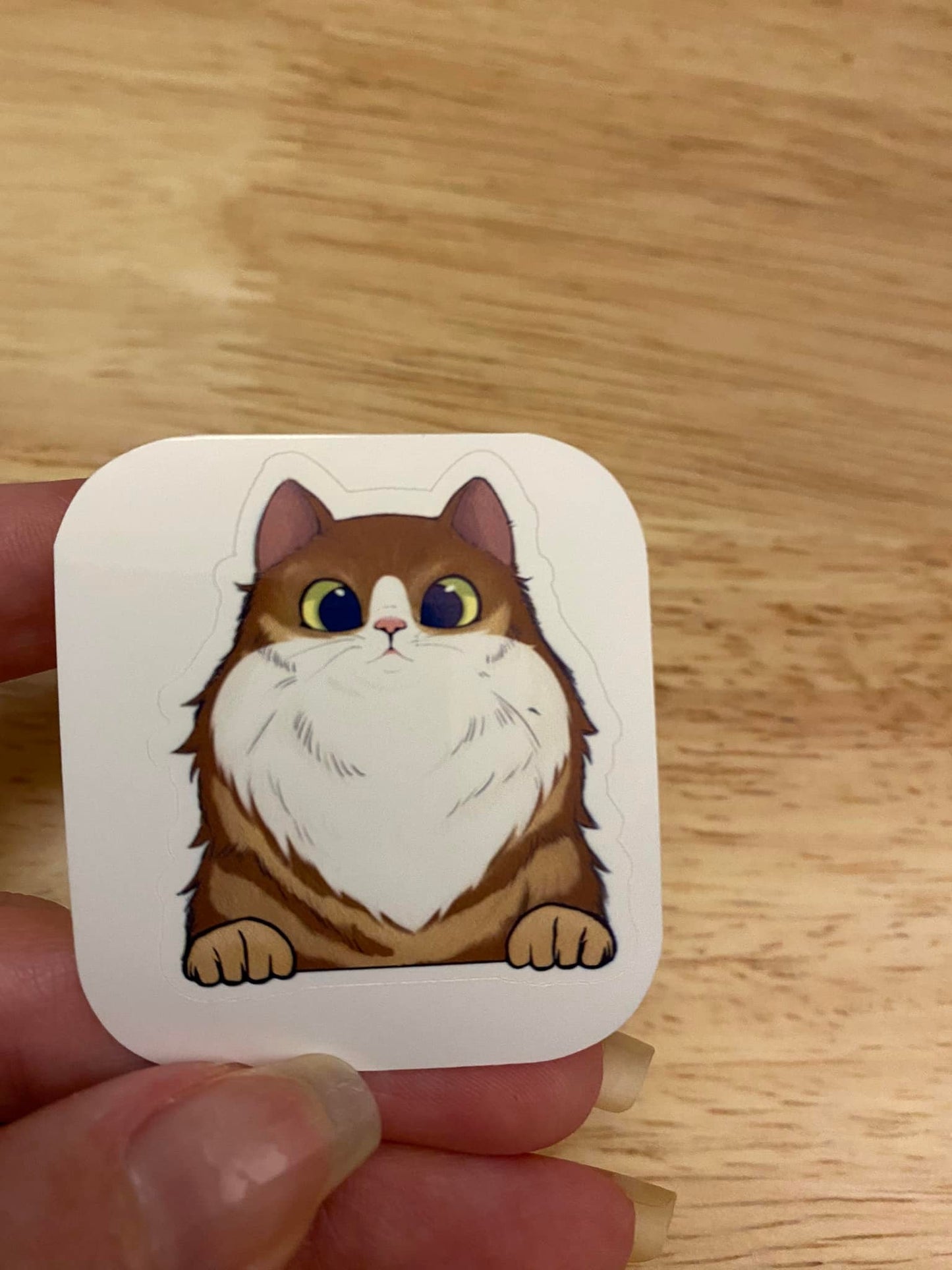 Brown Fluffy Tuxedo Cat STICKER
