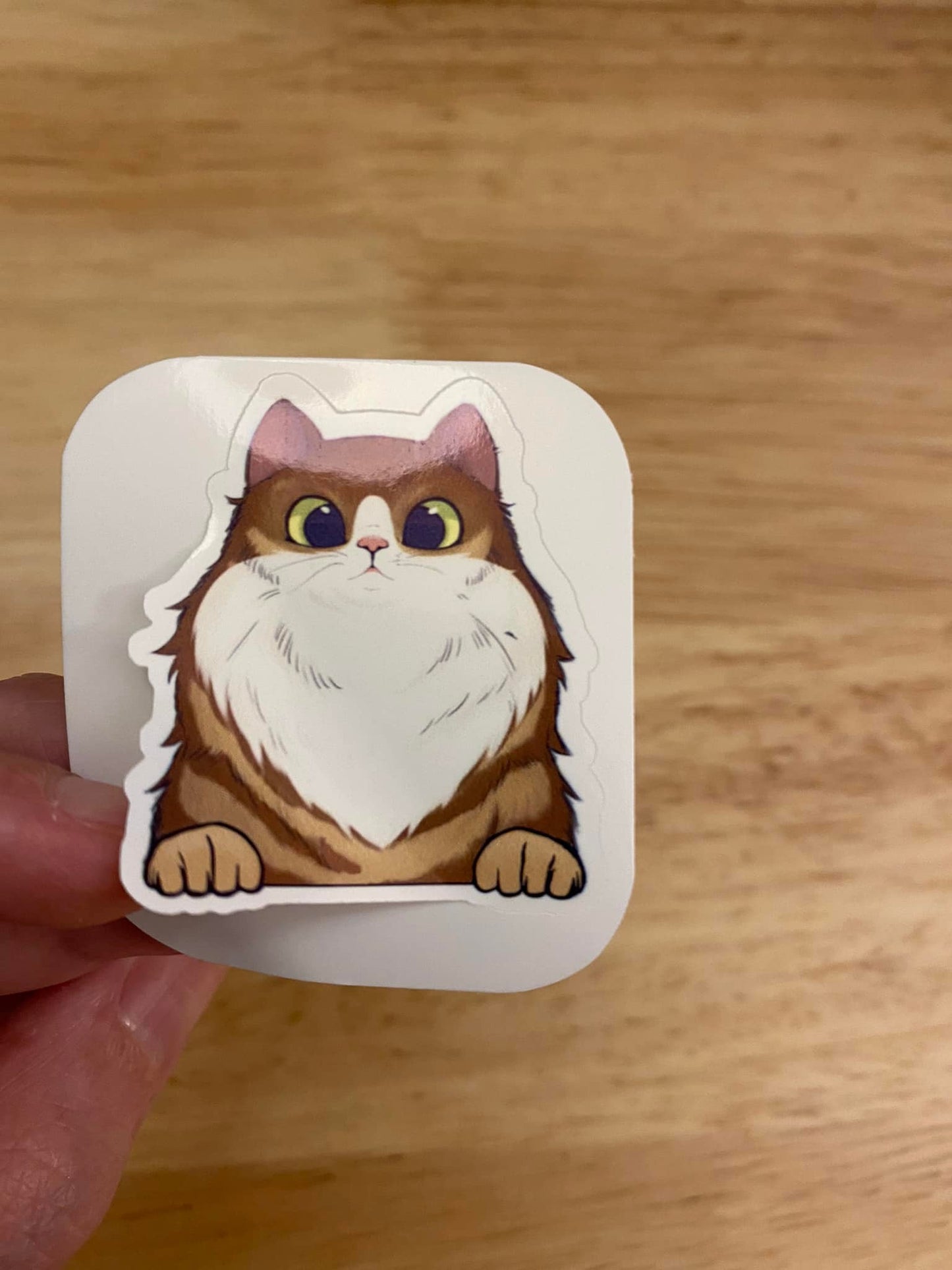 Brown Fluffy Tuxedo Cat STICKER