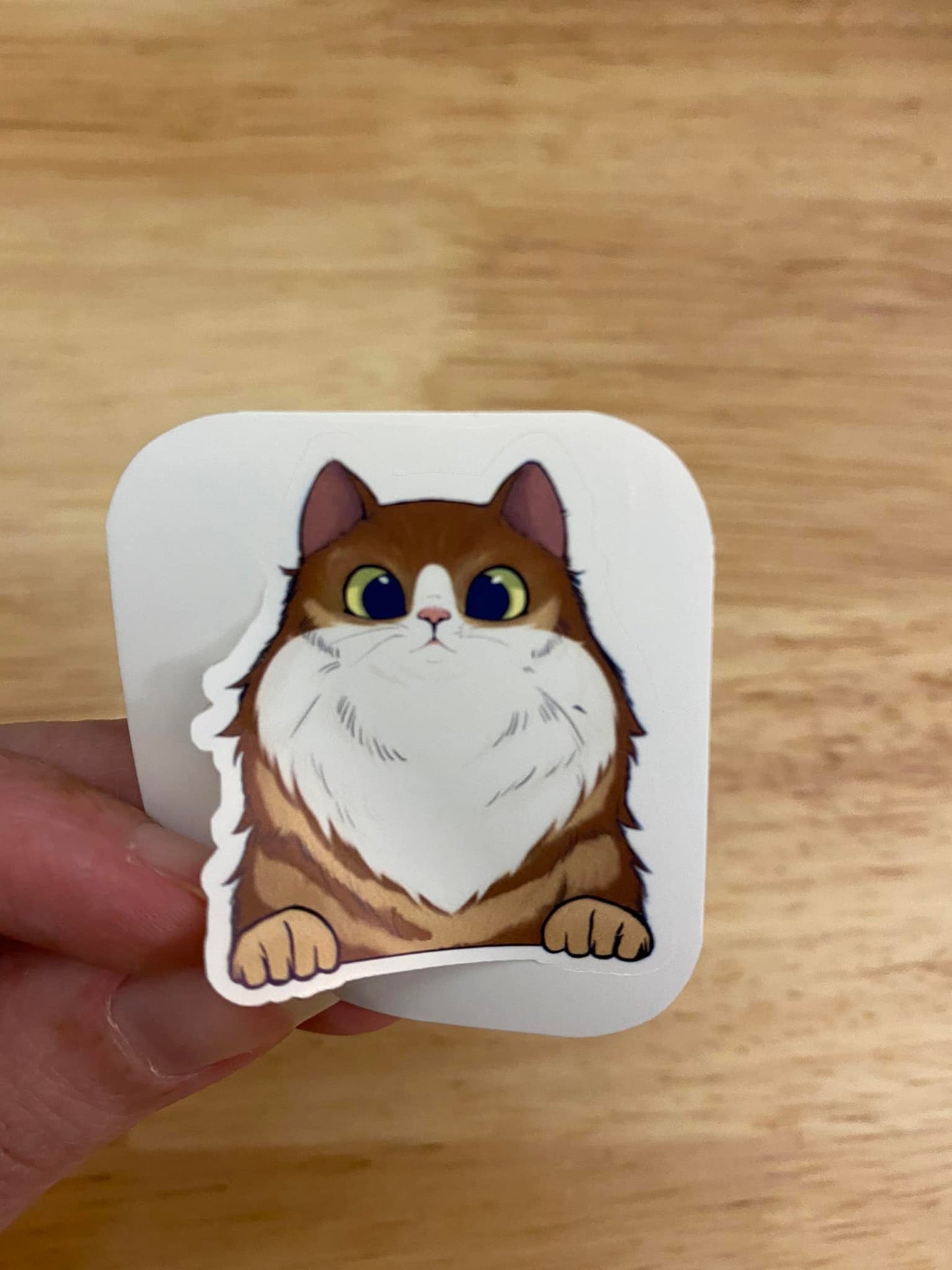 Brown Fluffy Tuxedo Cat STICKER