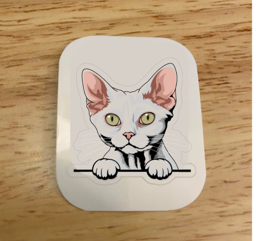 Devon Rex White Cat Sticker