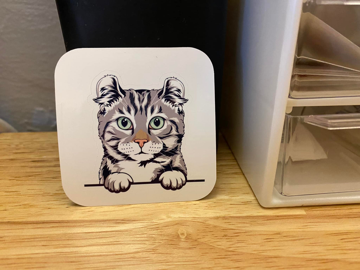 American Curl cat STICKER