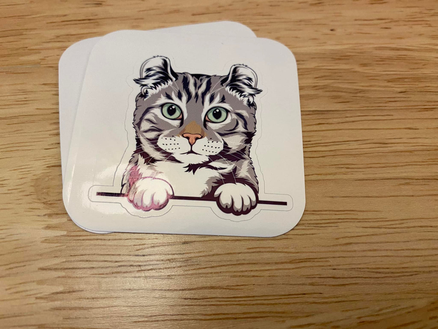 American Curl cat STICKER