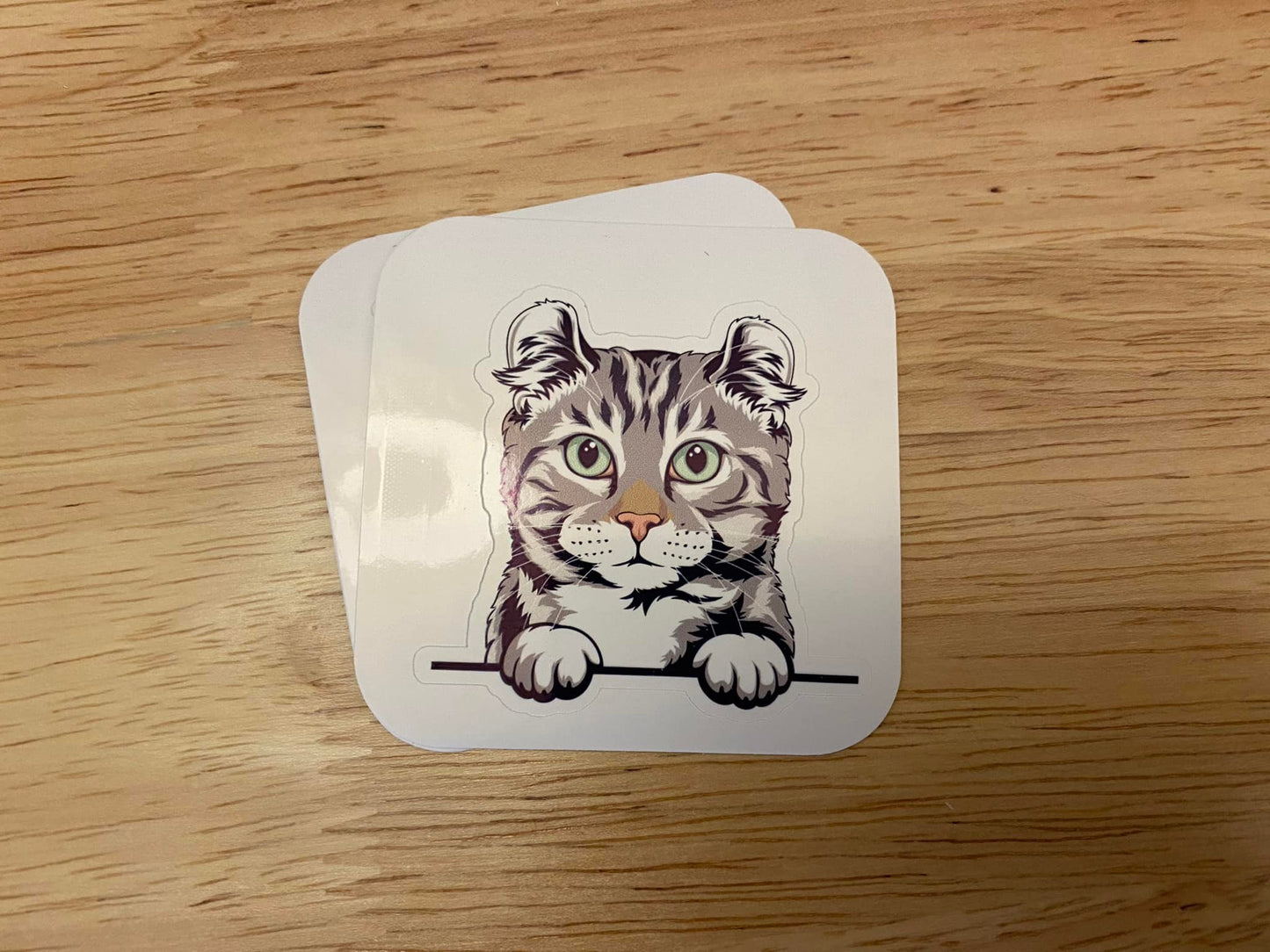 American Curl cat STICKER