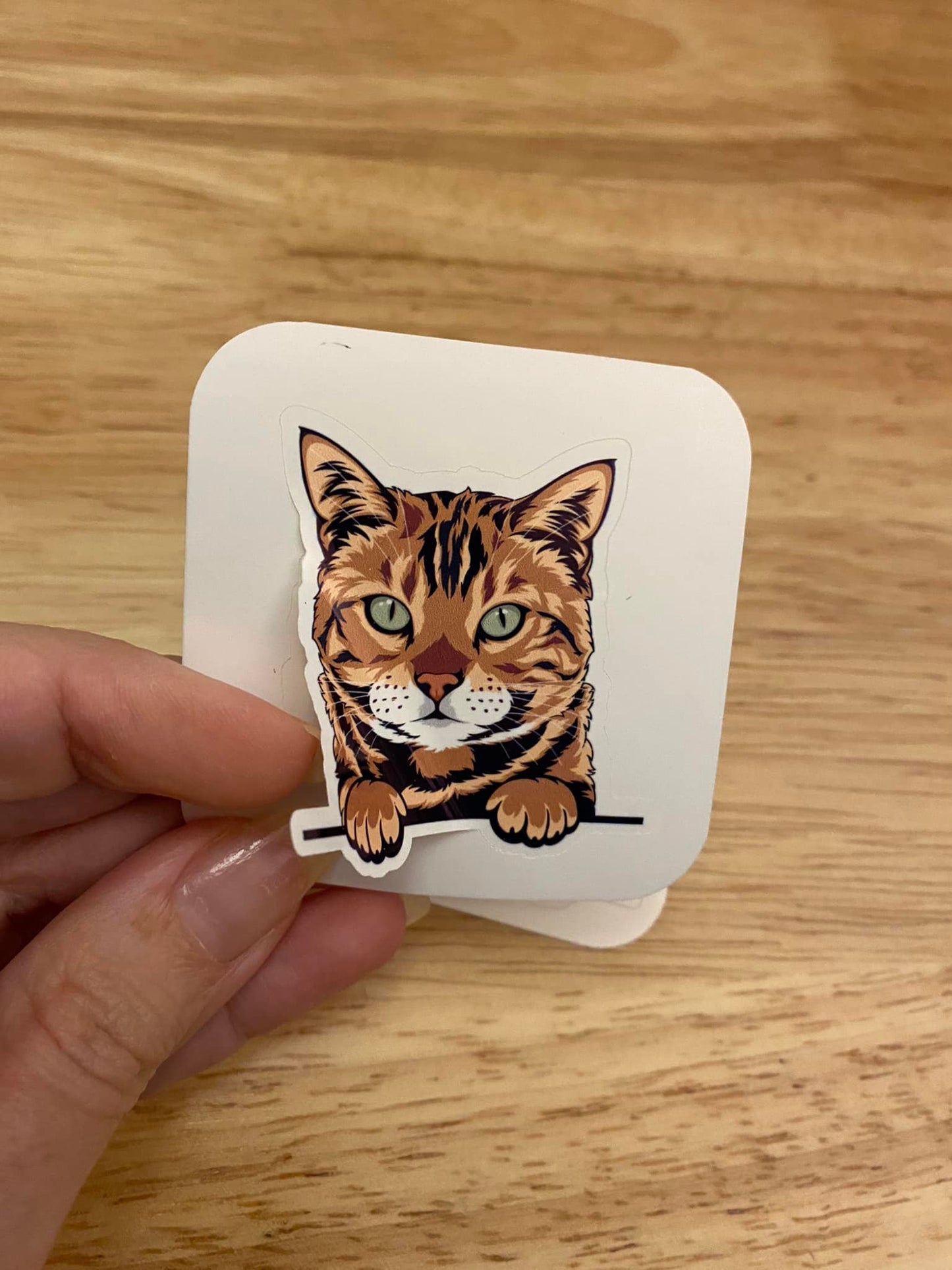 Bengal Cat STICKER