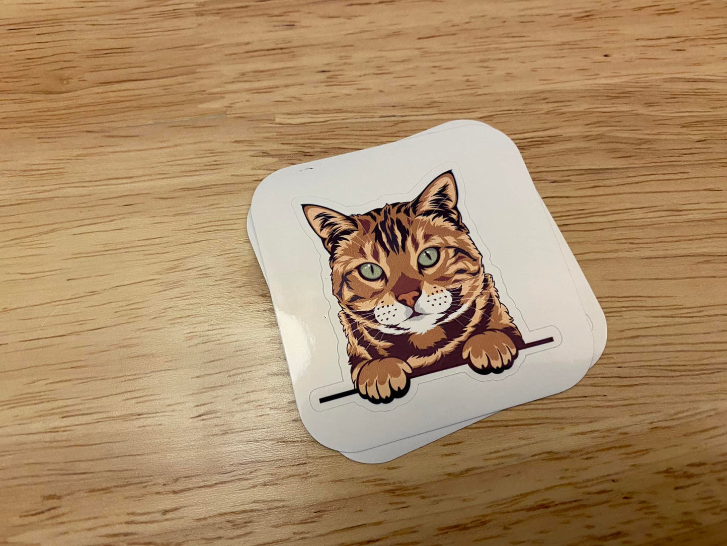 Bengal Cat STICKER