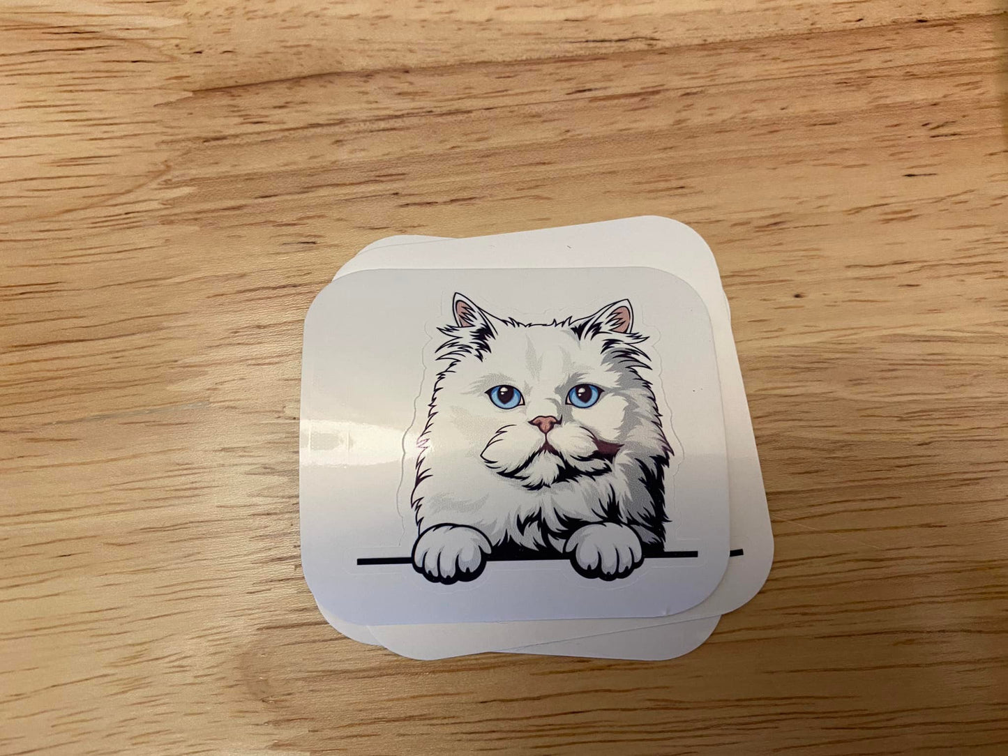 Persian cat STICKER