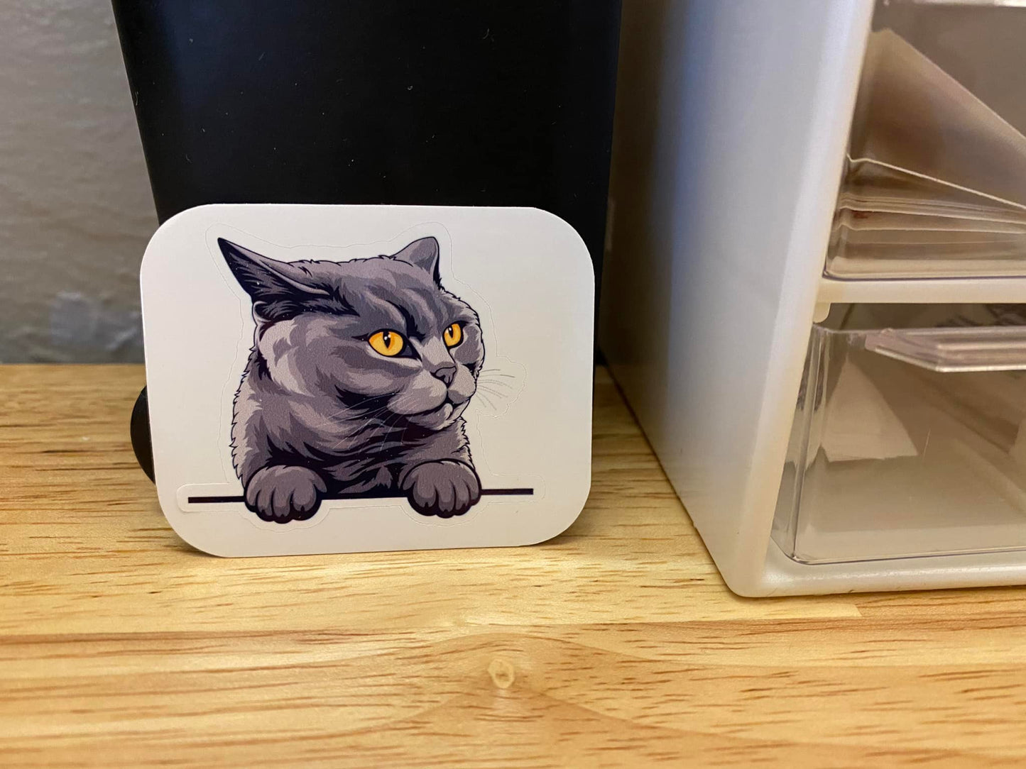 British Shorthair cat STICKER