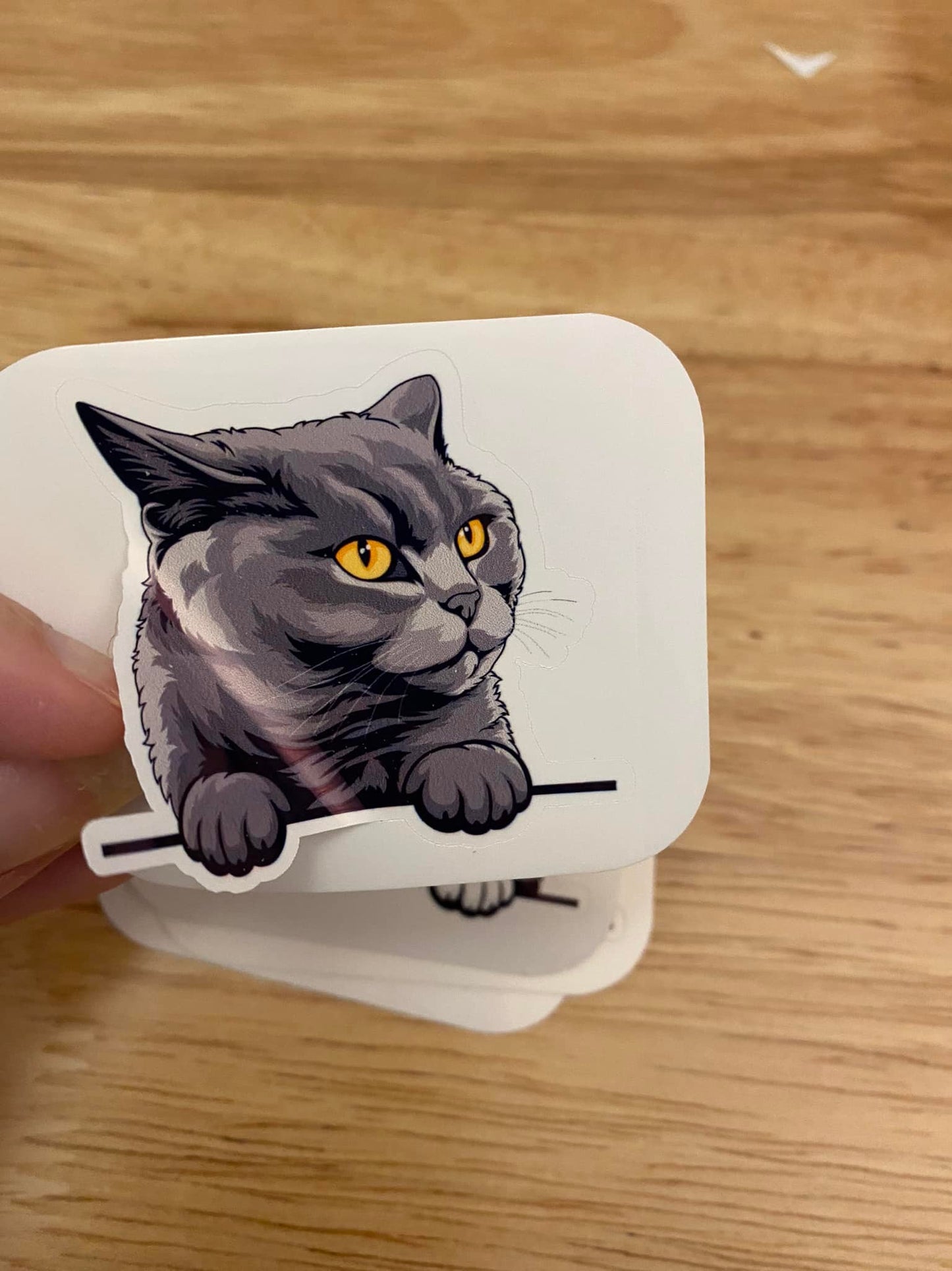 British Shorthair cat STICKER