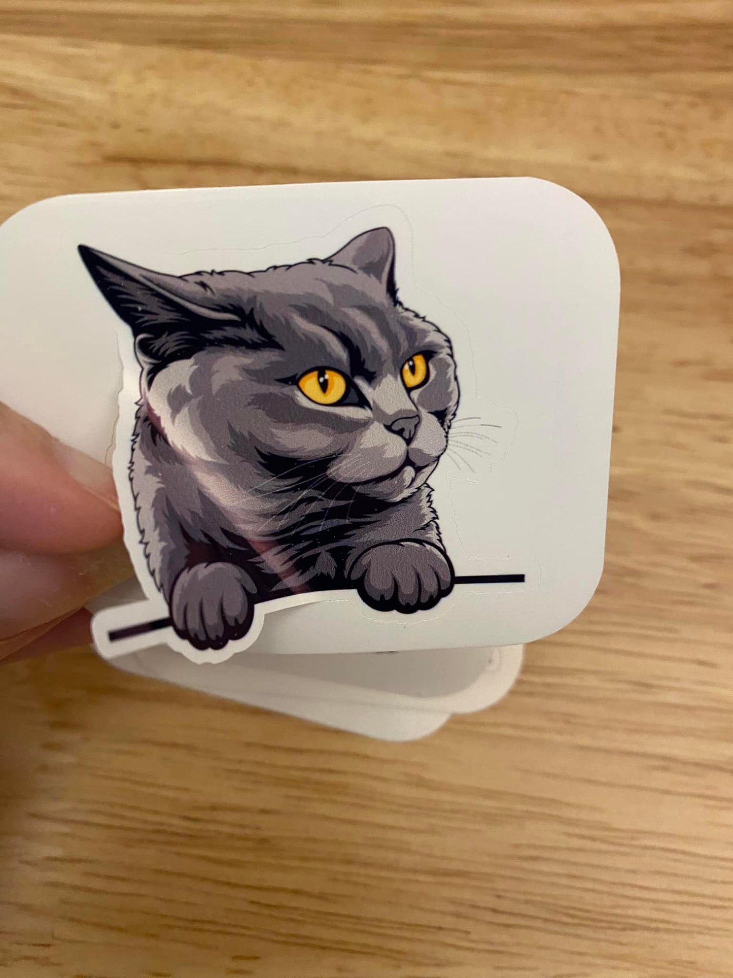 British Shorthair cat STICKER