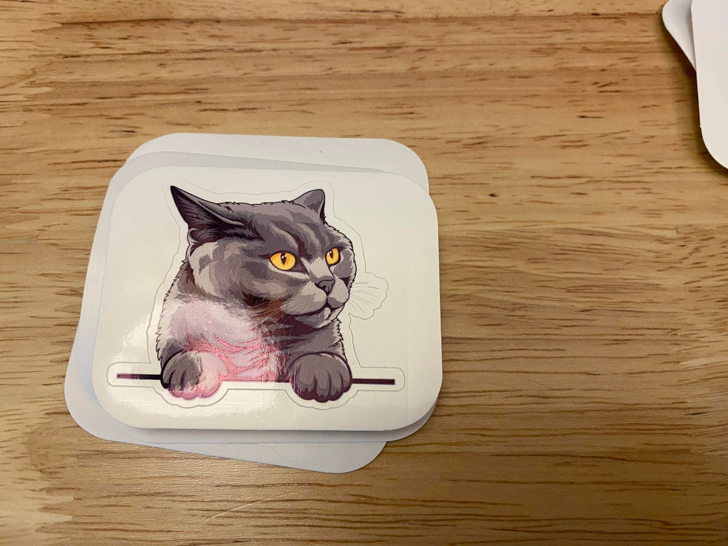 British Shorthair cat STICKER