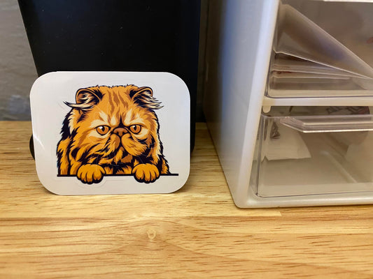 Brown Persian Cat STICKER