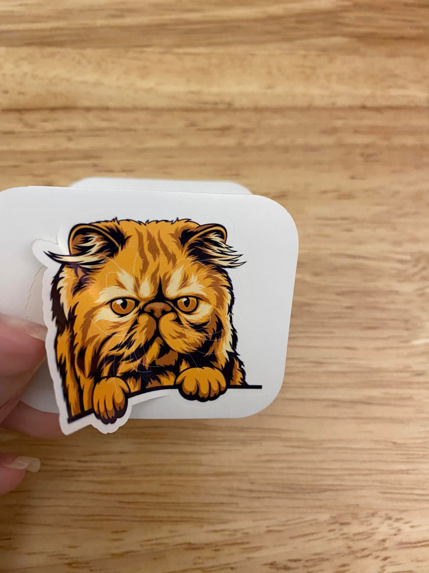 Brown Persian Cat STICKER