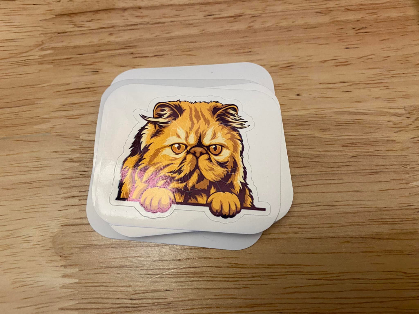 Brown Persian Cat STICKER