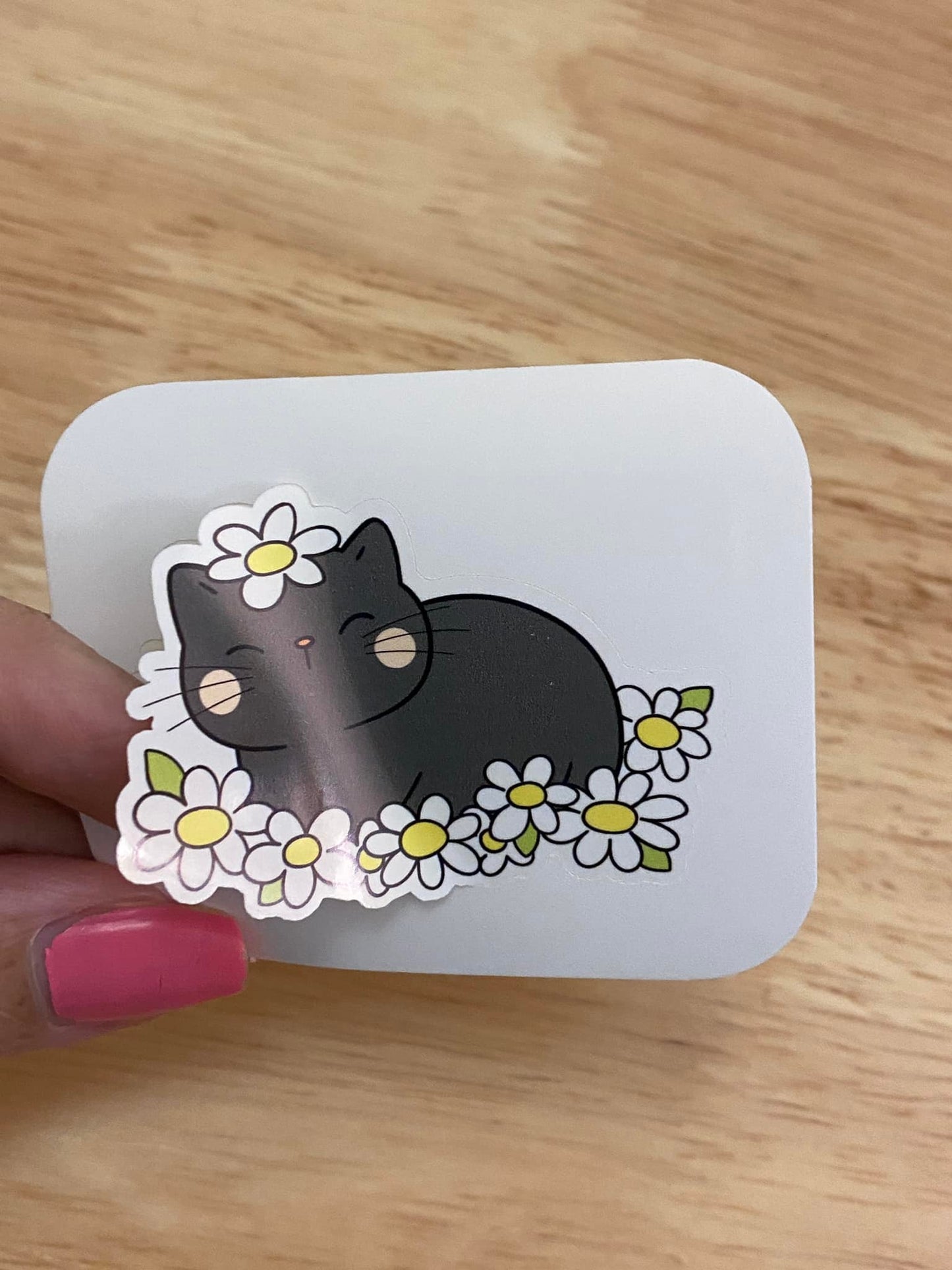 Cat in Daisy Sticker