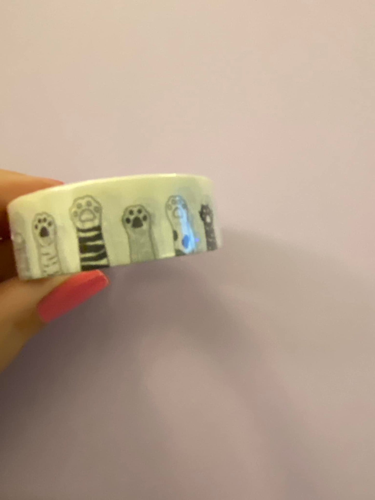 Big Roll of Cat Paws Washi Tape