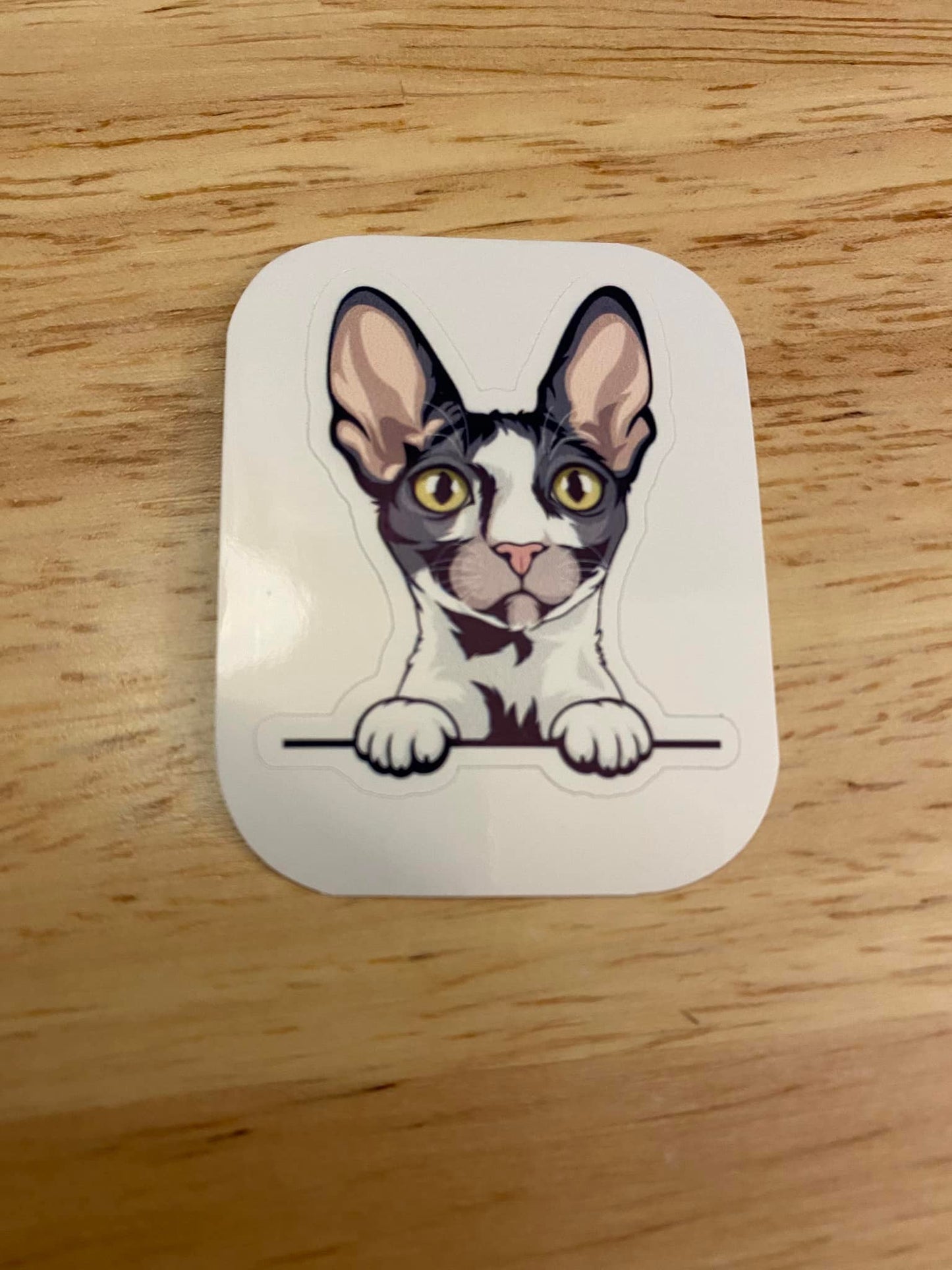 Cornish Rex Cat STICKER
