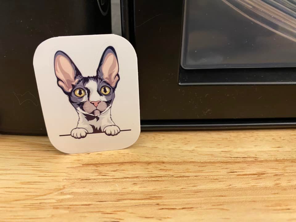 Cornish Rex Cat STICKER