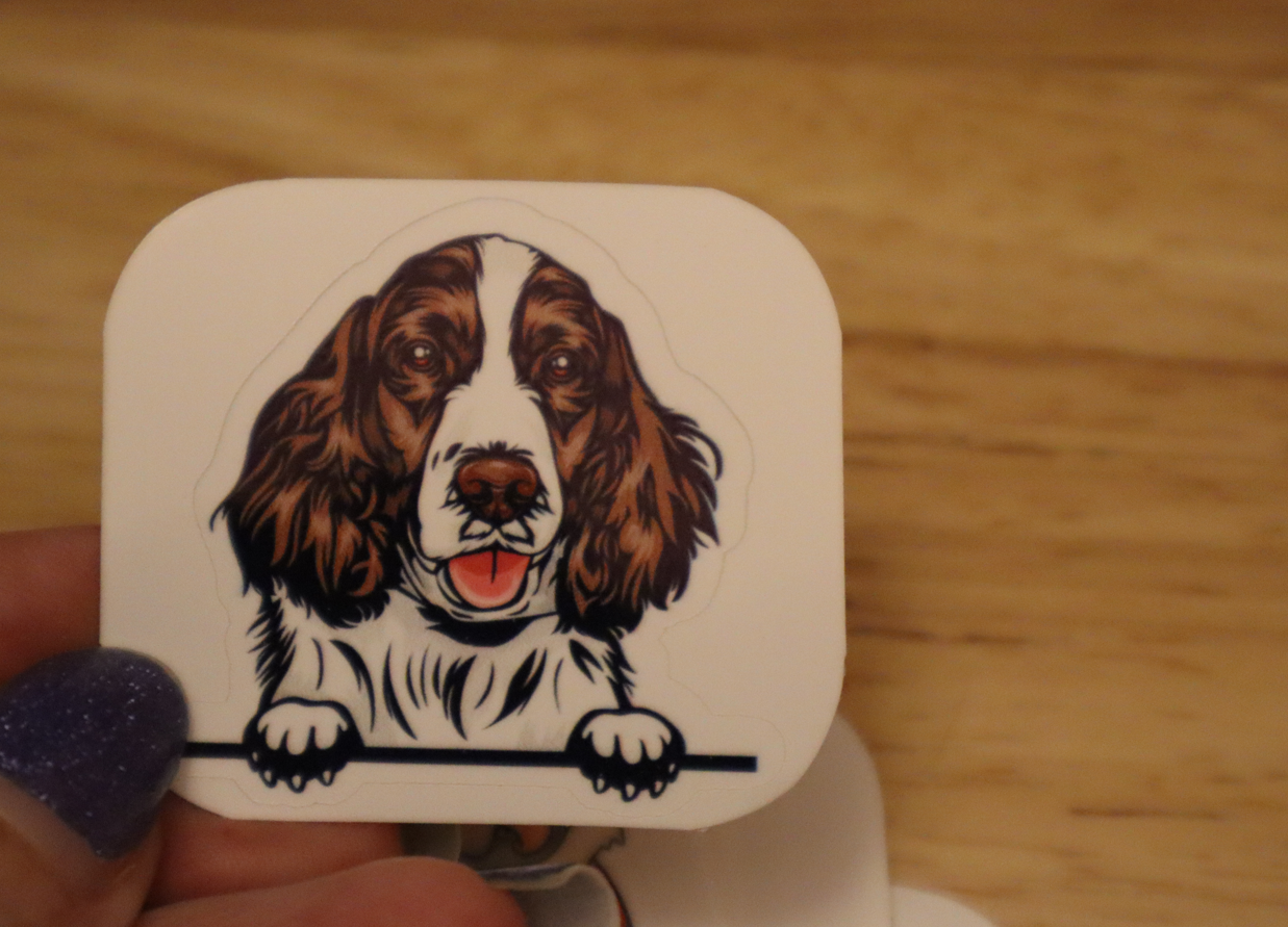 Peeking English Springer Spaniel Dog STICKER