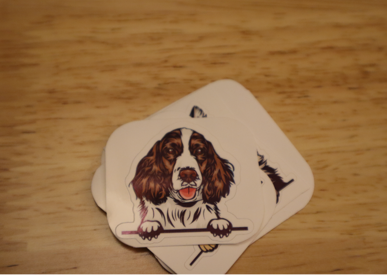 Peeking English Springer Spaniel Dog STICKER