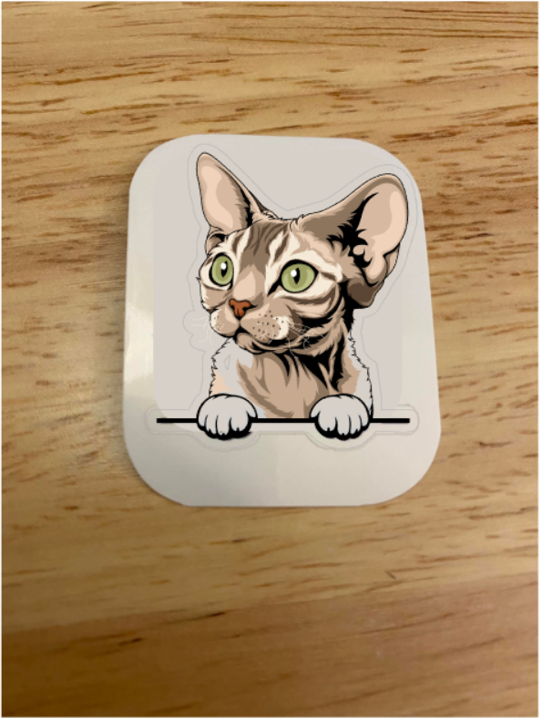 Devon Rex Tabby Cat Sticker