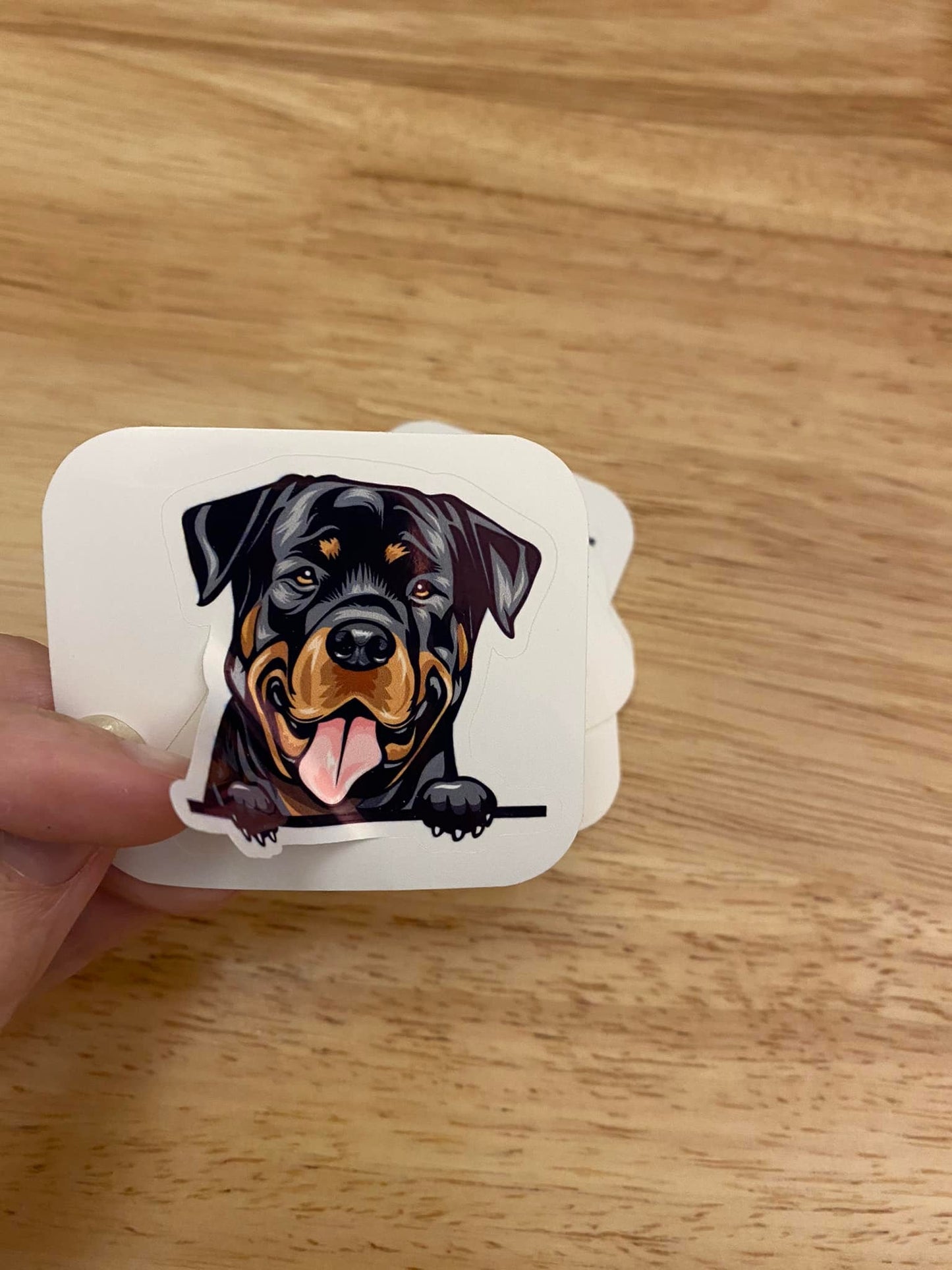 Peeking Rottweiler Dog STICKER