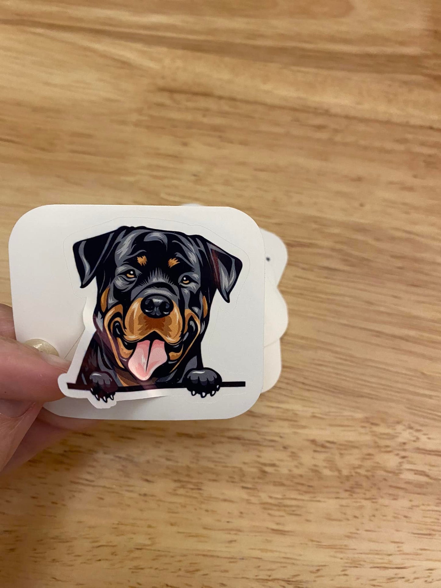 Peeking Rottweiler Dog STICKER