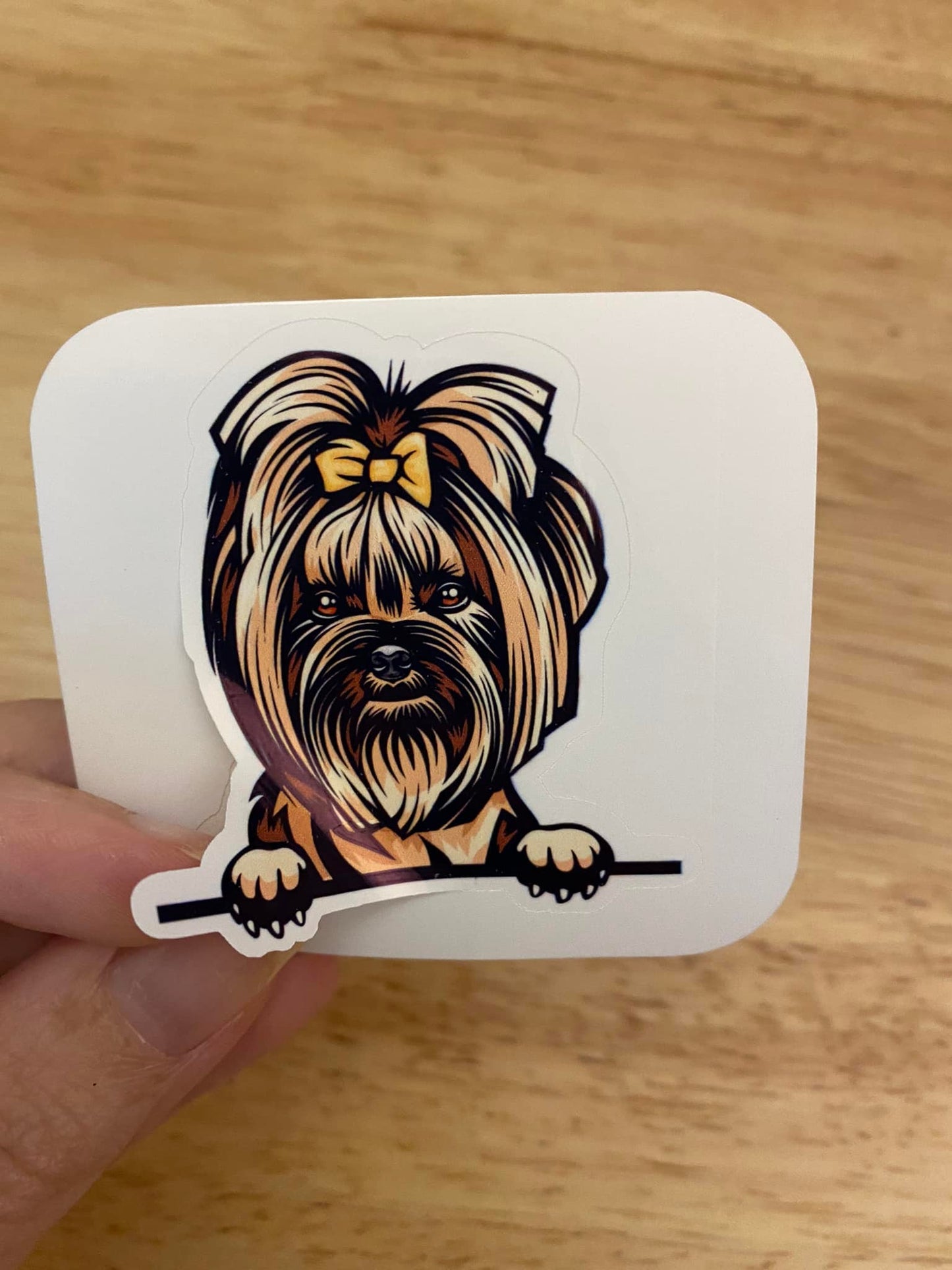 Peeking Yorkie Terrier Dog STICKER