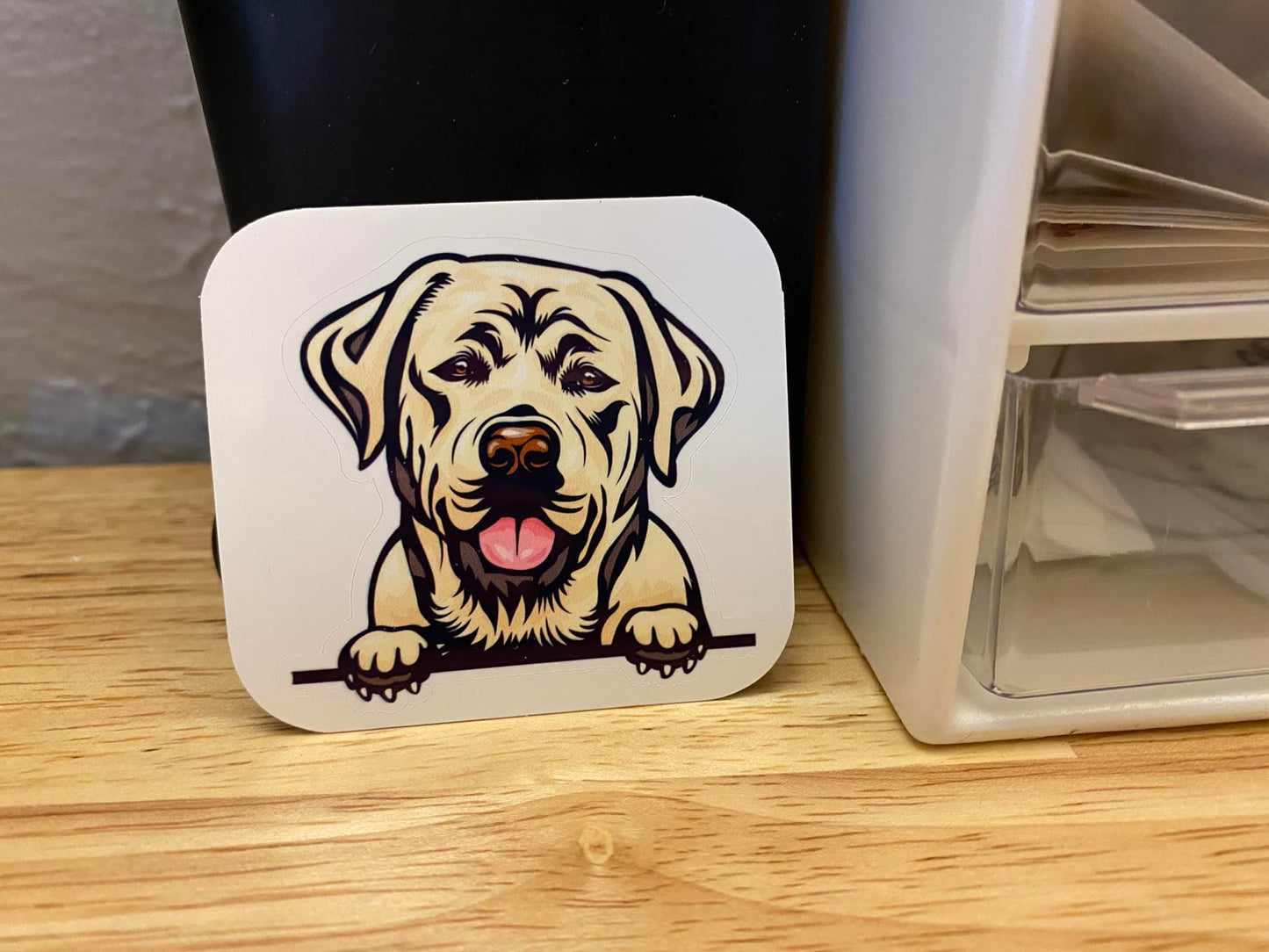 Peeking Labrador Dog STICKER