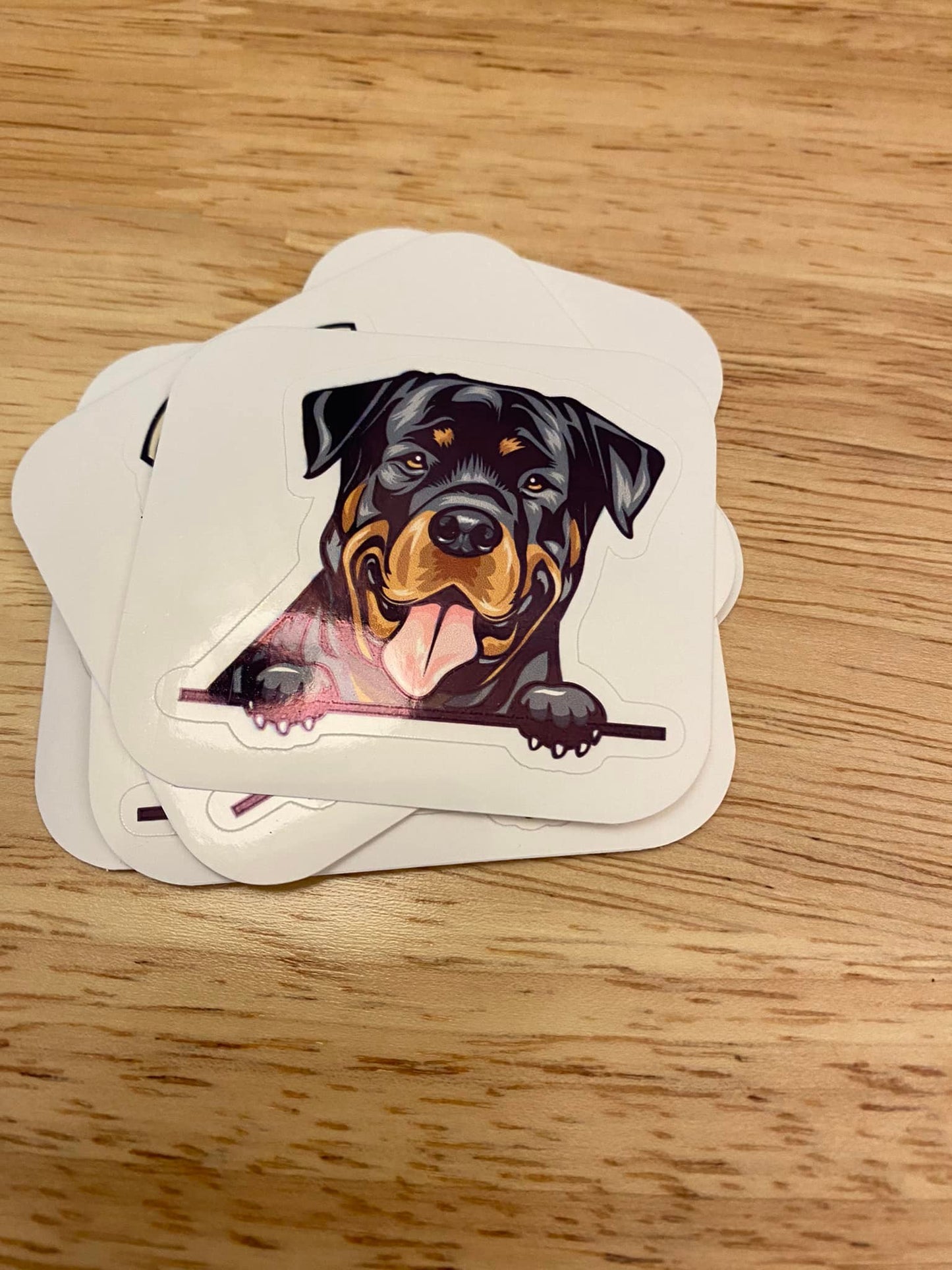 Peeking Rottweiler Dog STICKER