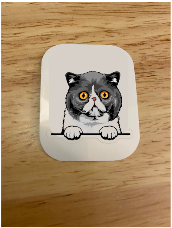 Exotic short hair Cat STICKER