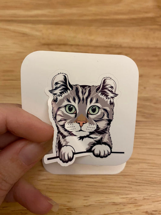 American Curl STICKER, Cute Cat Sticker, Fluffy Cat Sticker, american curl cat sticker