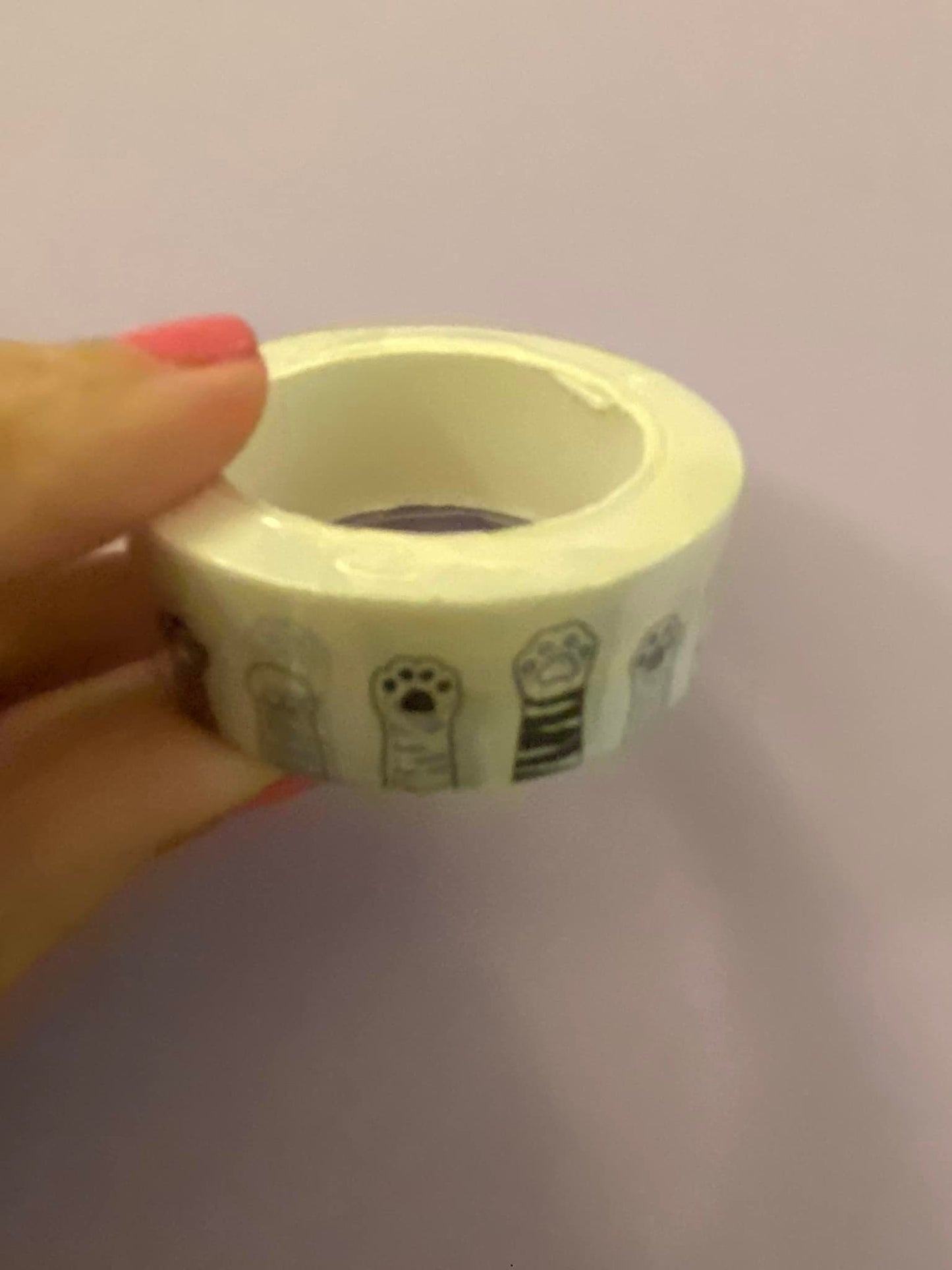 Big Roll of Cat Paws Washi Tape