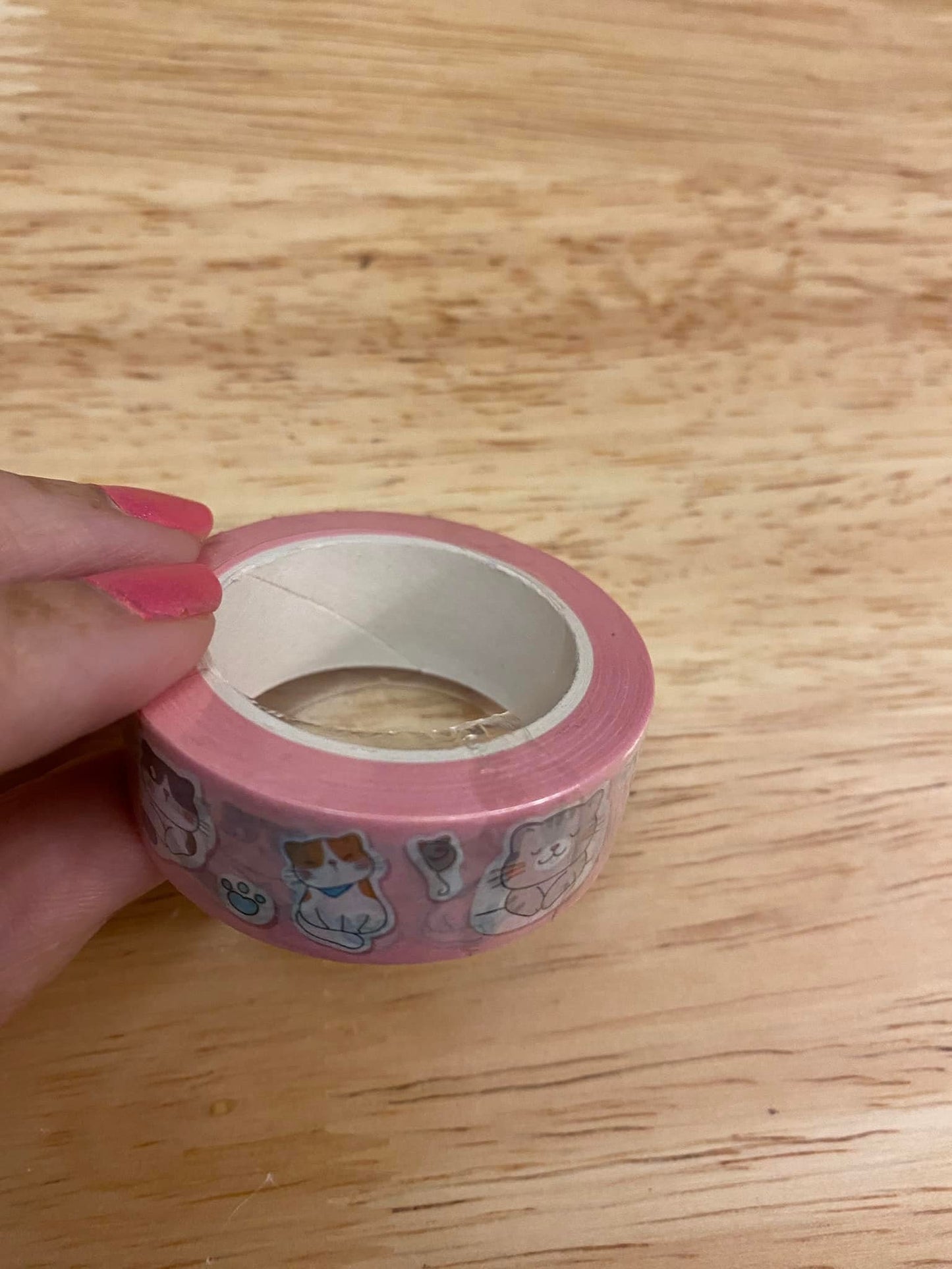 Big Roll of Pink Cat Washi Tape