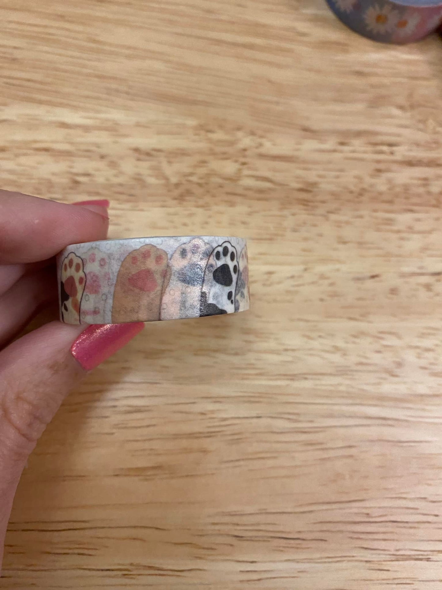 Medium Roll of Cat Paws Washi Tape