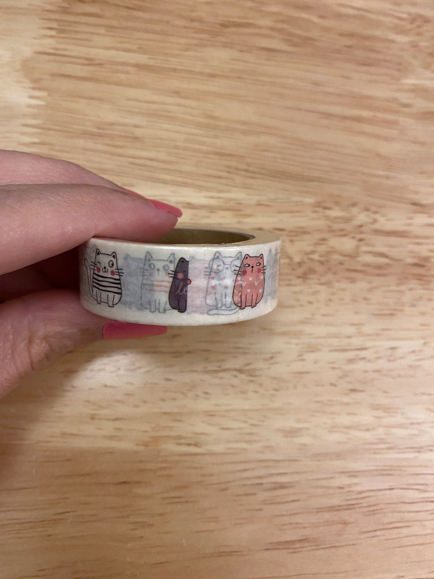 Big Roll of Multi Color Sitting Cats Washi Tape