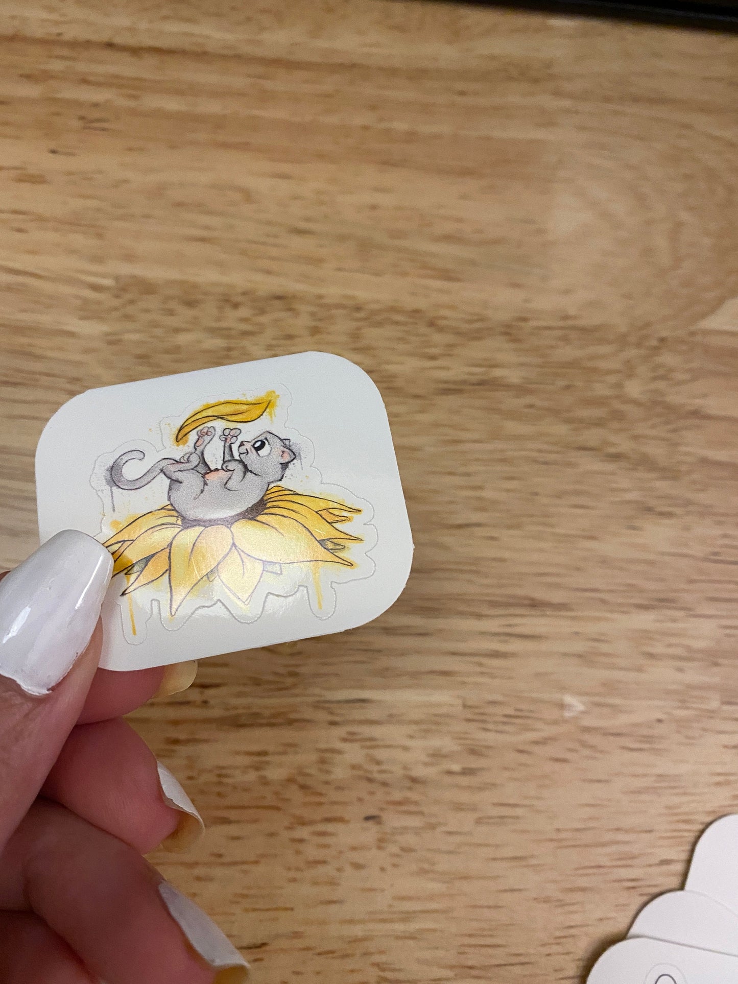 Kitty playing with Sunflower Sticker, Grey Cat with sunflower Sticker, Cat sticker, Cute Cat Sticker, Cat playing