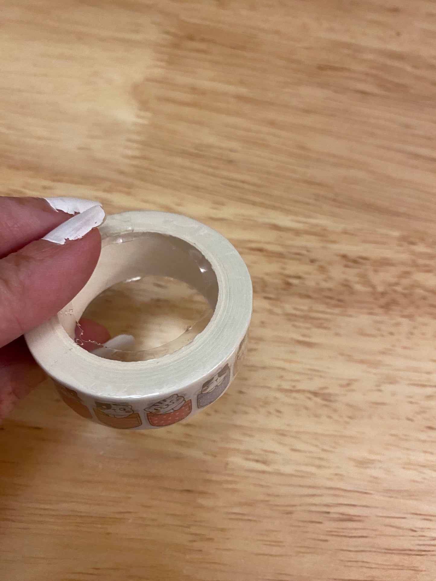 Big Roll of Pocket Kitties Washi Tape