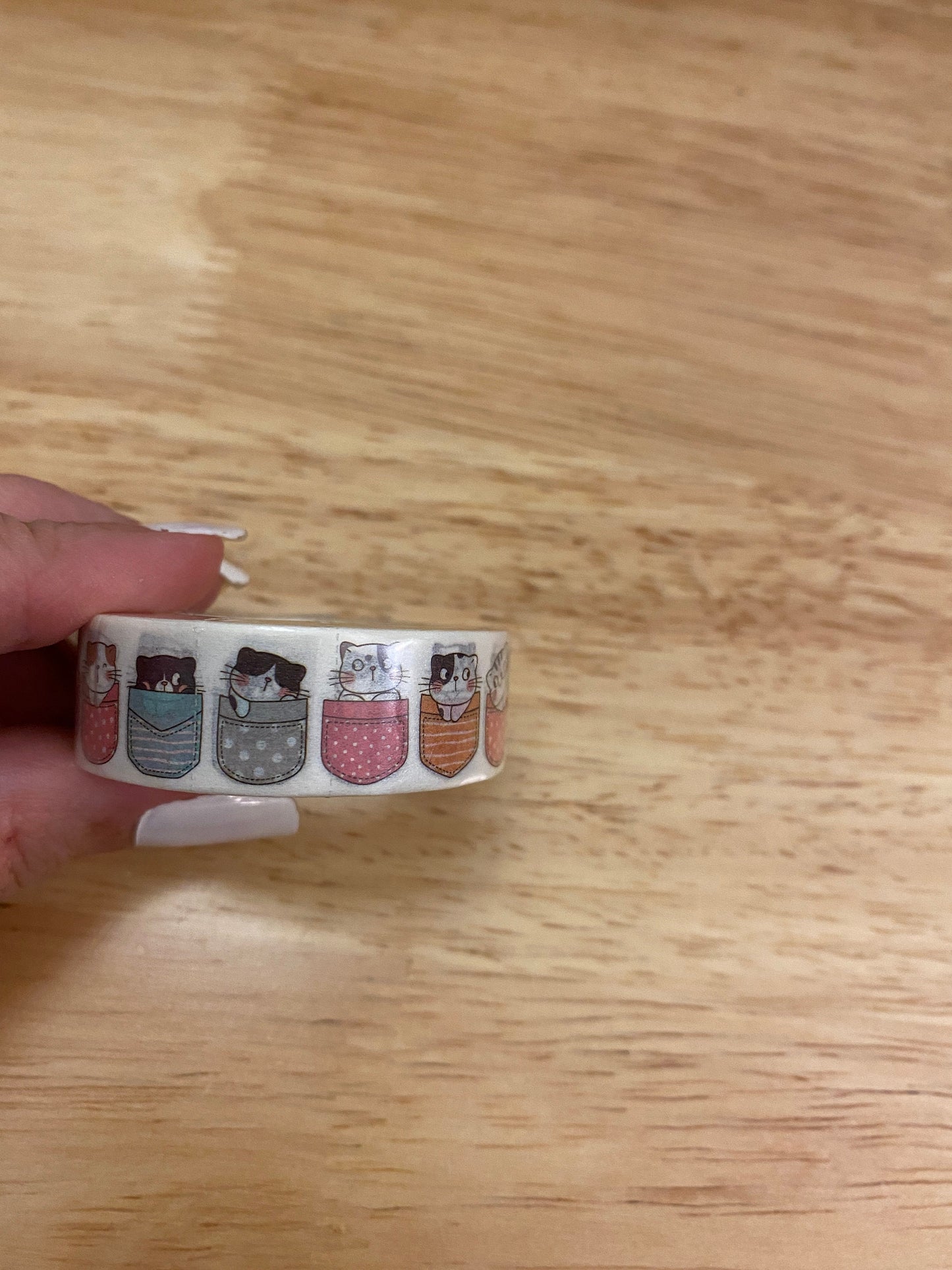 Big Roll of Pocket Kitties Washi Tape