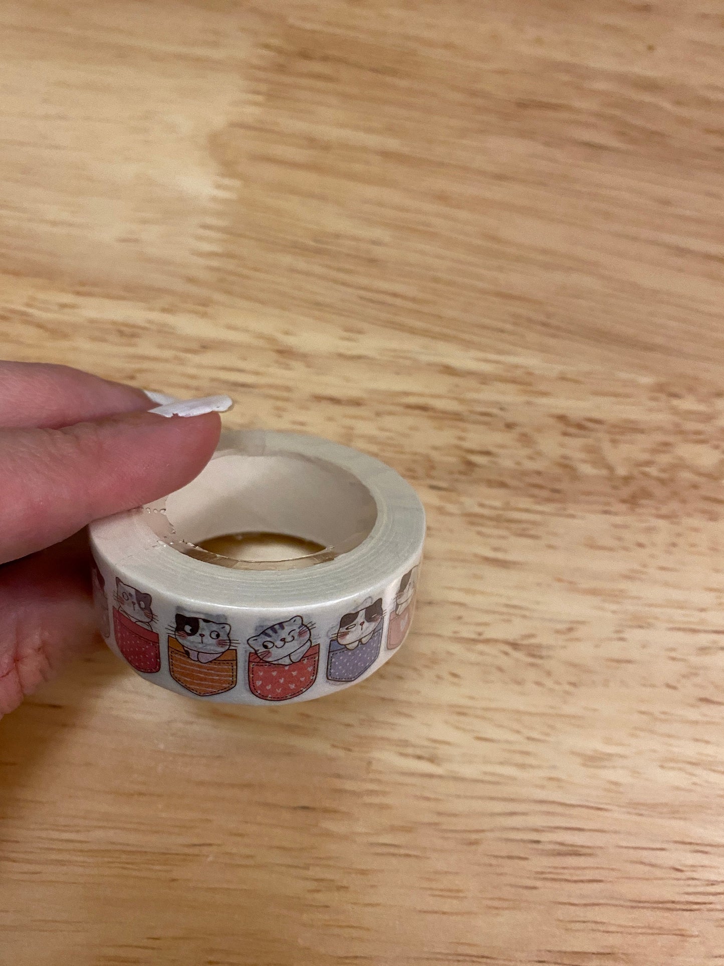 Big Roll of Pocket Kitties Washi Tape