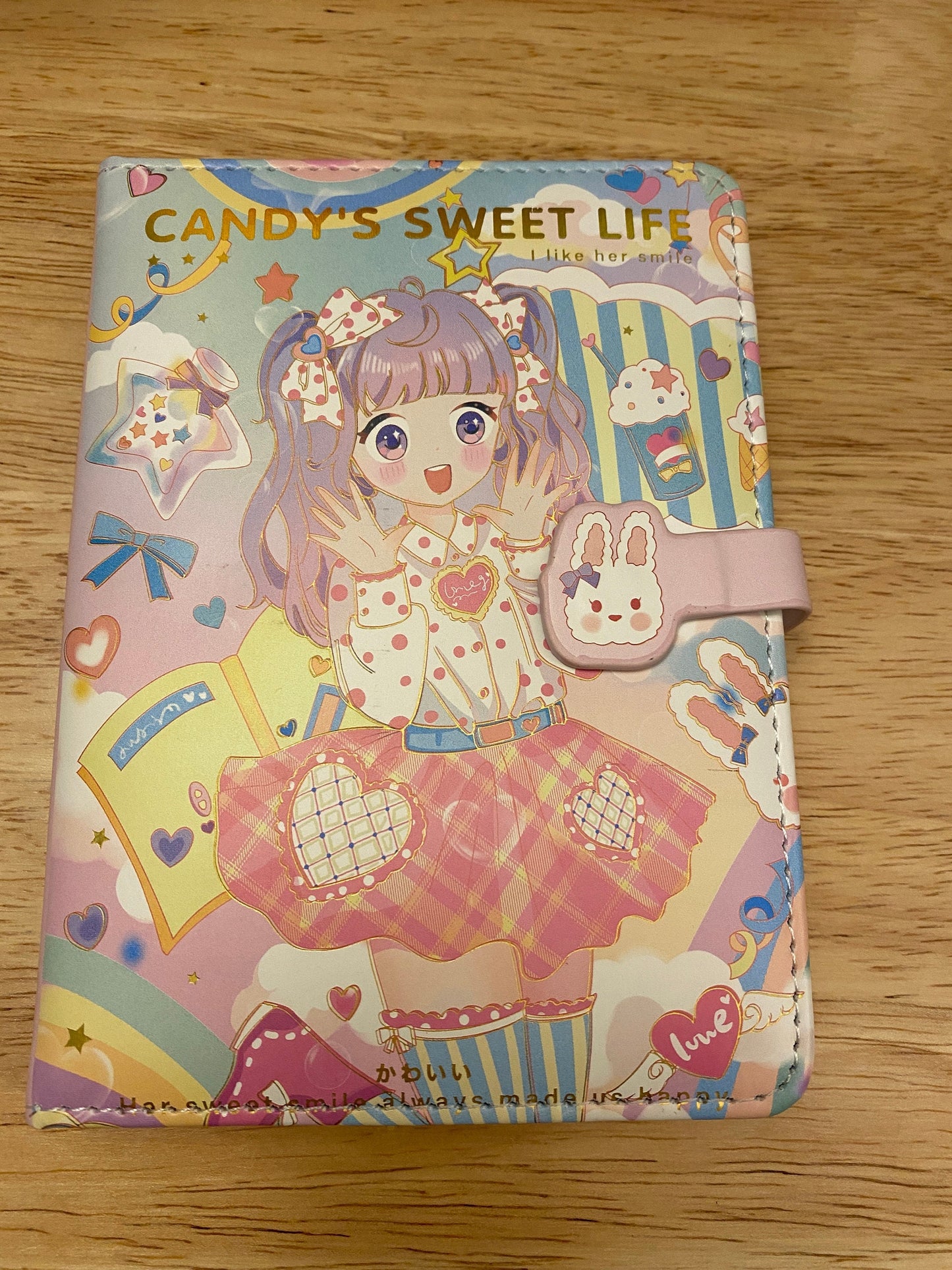 Cute Girl with Bunny Notebook Journal, Candy's Note Book Agenda Journal with Illustrations
