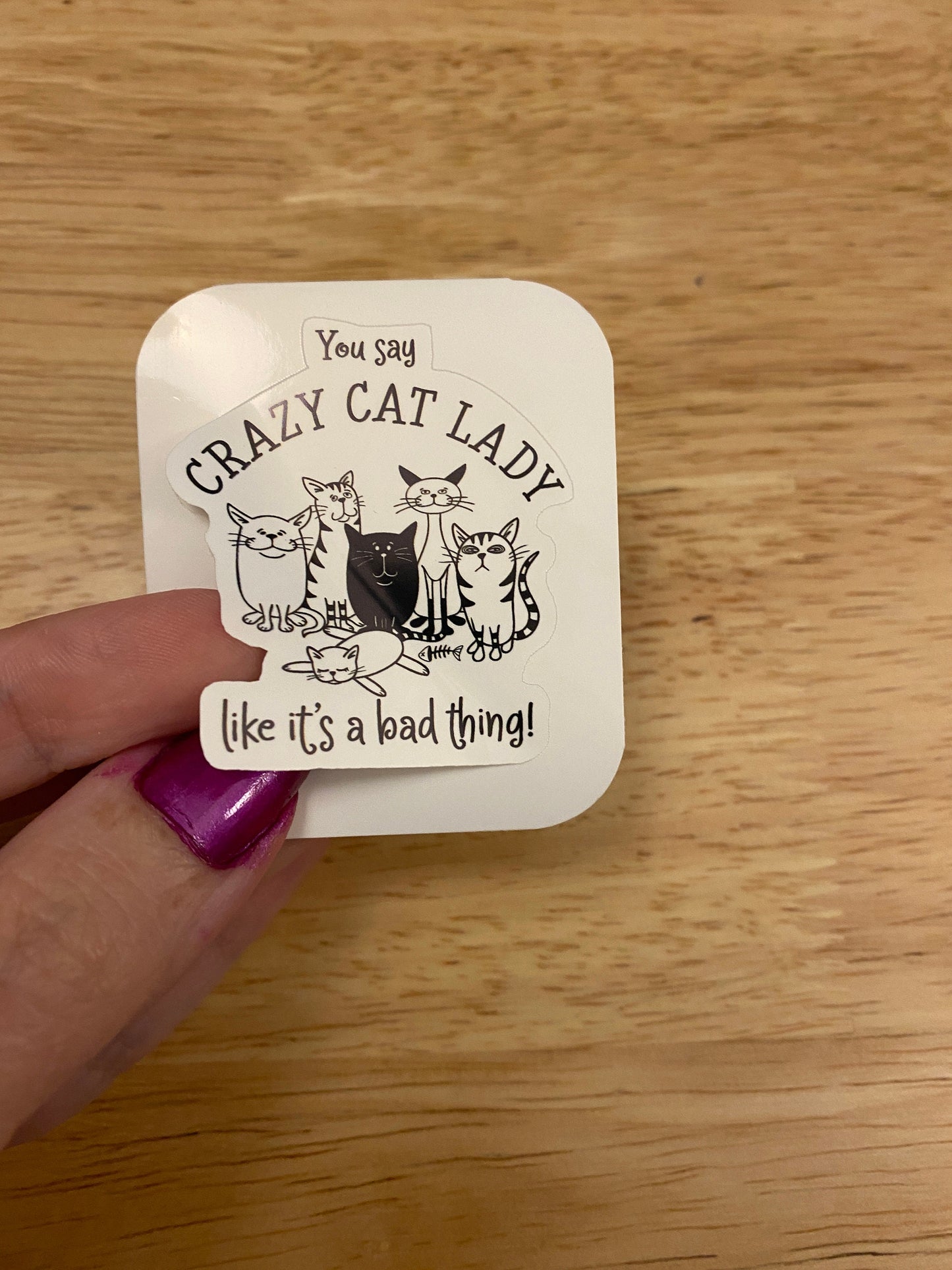 You say Crazy Cat Lady like its a Bad Thing STICKER