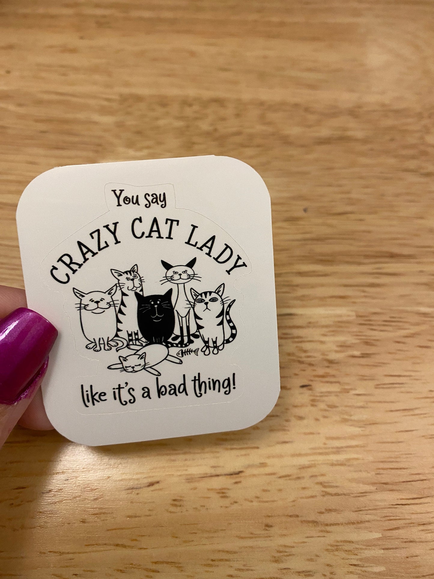 You say Crazy Cat Lady like its a Bad Thing STICKER