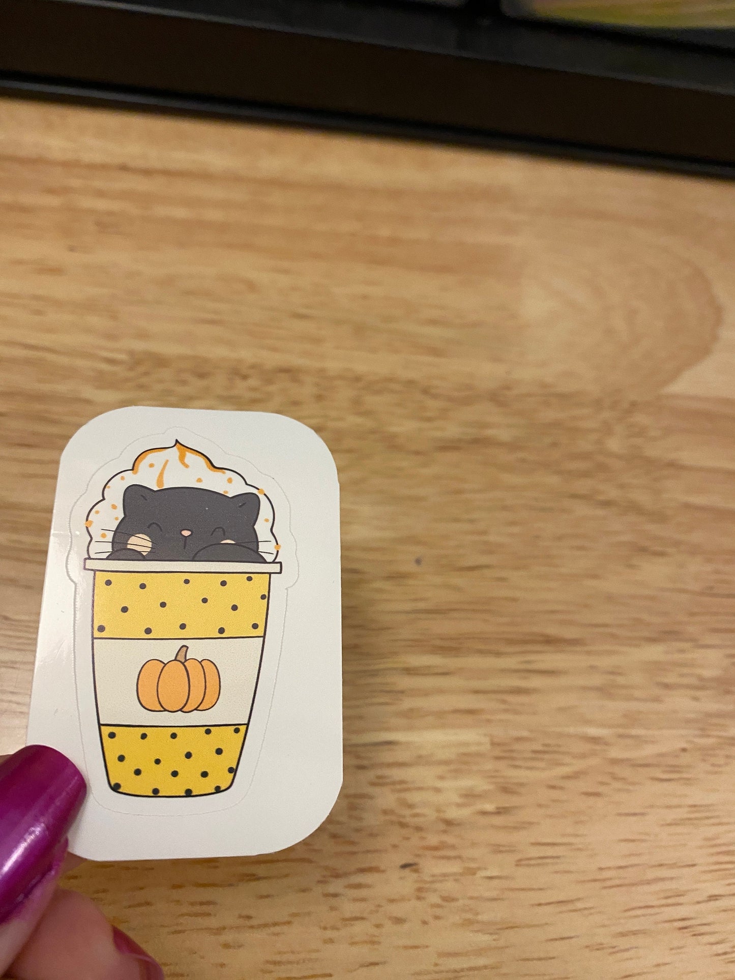 Pumpkin Spice Cat Sticker