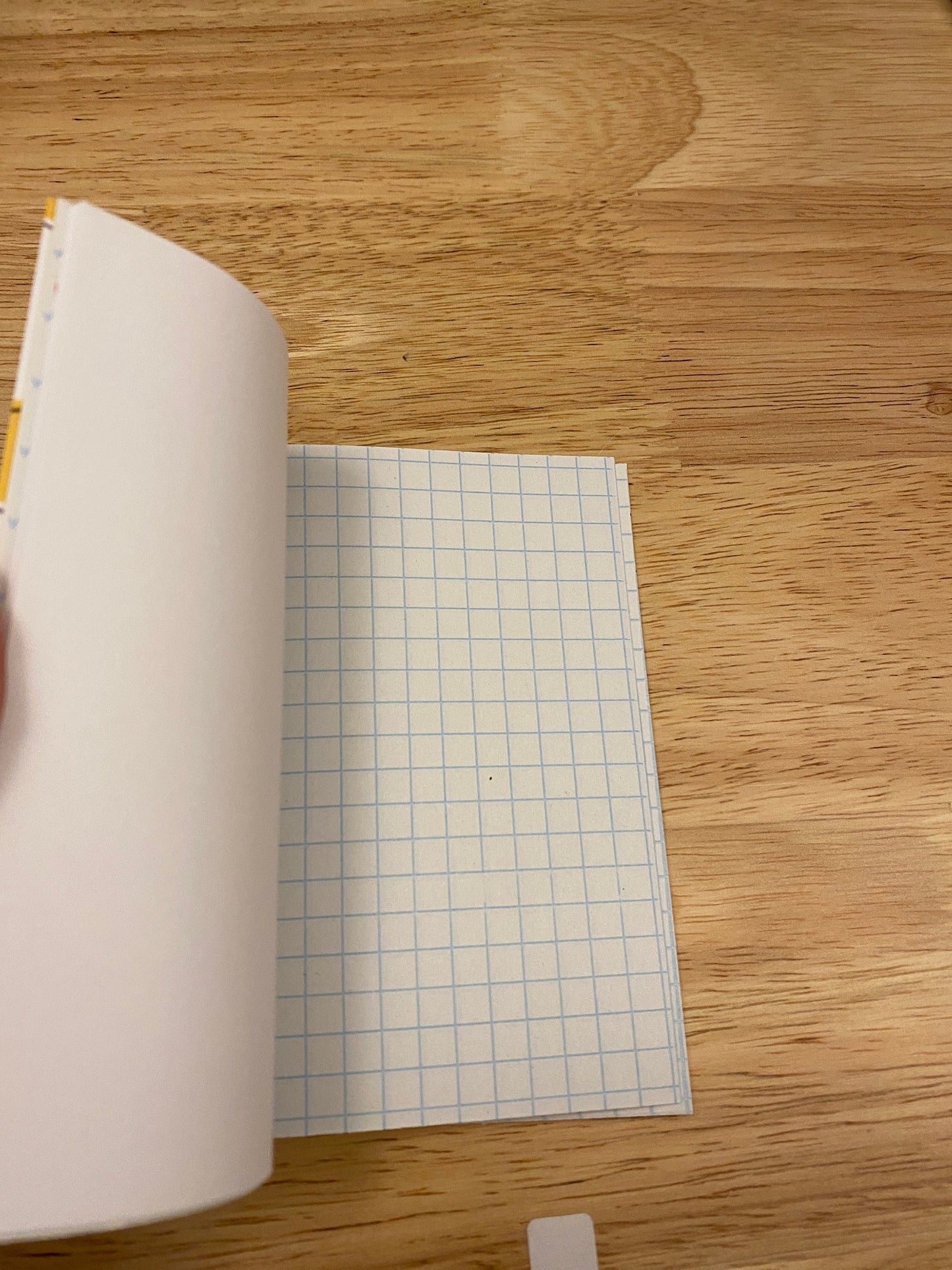 Male Sunflower Gnome Notebook with Cute Stickers